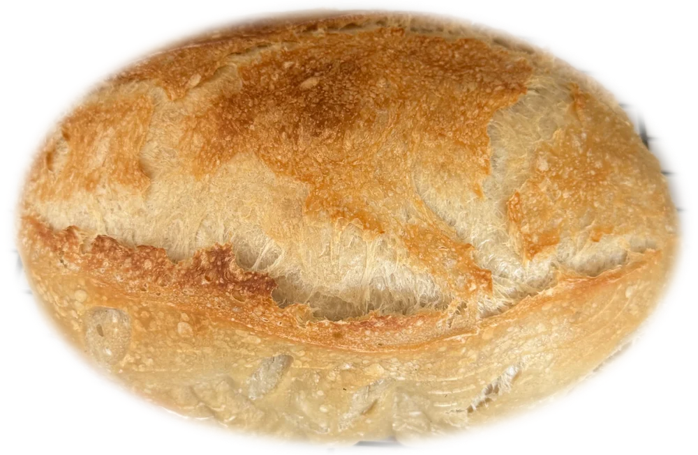 Classic Sourdough