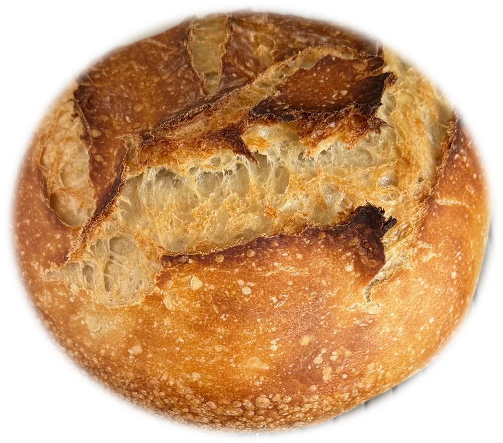 Olive Oil Sourdough