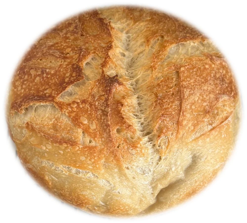 Golden, hand-scored round sourdough loaf