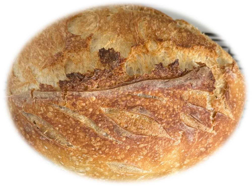 Artisan sourdough with decorative scoring