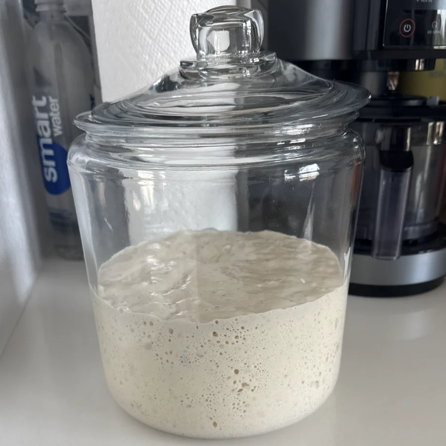 Our treasured sourdough starter
